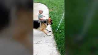 Dog and Baby Playing with Sprinkler - Pure Fails - Funny Dog Videos 🐾 #failsoftheyear #funnyvideos