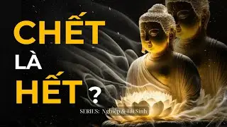 Con Người Chết Rồi Đi Đâu | Series Nghiệp & Tái Sinh | Trí Tuệ Phật Học