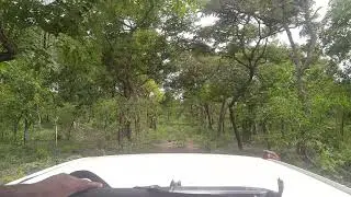Driving through Old Oyo National Park in a van  | Pelu Awofeso On The Road