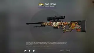 AWP / PAW / RARE PATTERN / CSGO