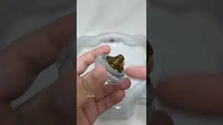 CHAOS EXISTE EU ACHO N&Atilde;O SEI QUE T&Iacute;TULO COLOCAR NO V&Iacute;DEO #beyblade #beybladeburst