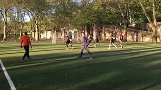 River Plate Brooklyn 2-Stemline 2