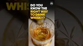 What is the correct way to have whisky - with water, ice or Soda ? Whisky Neat or with Ice ?