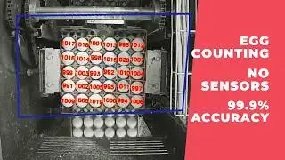 Counting eggs in trays on packaging with a regular surveillance camera