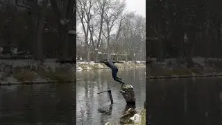 Winter Pump Foil Session #pumpfoil #water #surf #river #snowfall #snow #foil #sports #surfing #cold