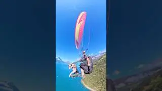 This dog takes adventure to new heights... literally! 🐶 #dogs #paragliding #cute