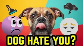 7 Things Dogs Hate That You Should Must Avoid From Today 🚫🐾