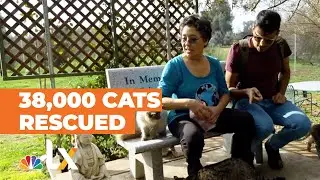 This 'Crazy Cat Lady' Has Given Her Home to Thousands of Rescue Cats  | NBCLX
