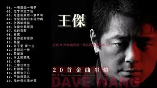 王傑 Dave Wang | 20首金曲串燒『超高无损音質』