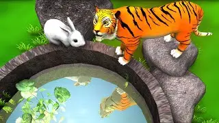 Tiger's Fight with Rabbit Hindi Stories - Panchatantra Stories - 3D Stories