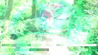 Lustrum - A Long Way