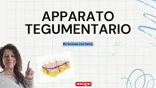 APPARATO TEGUMENTARIO Scienze, scuola media, riassunto pelle, annessi cutanei , ghiandole.