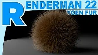 Renderman 22 Maya xgen Fur Tutorial