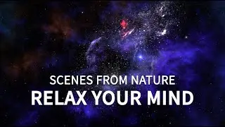 Relaxing Space and Mission Control Ambients