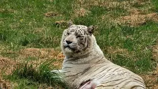 Jukani Wildlife Sanctuary