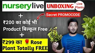 🔥Unboxing - 2020 nurserylive FREE plants | new ₹500 free plants trick | in hindi
