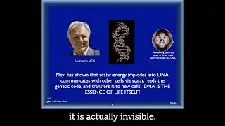 Scalar Energy: The Essence of Life