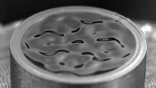 64 Hz Cymatic at 2000fps