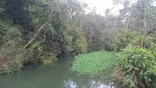 suasana di sungai Ancol Suban baru kelekar