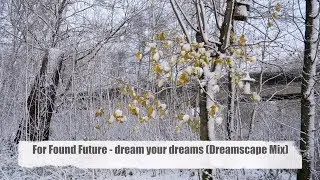 For Found Future - Dream Your Dreams (Dreamscape Mix) taken from the album 