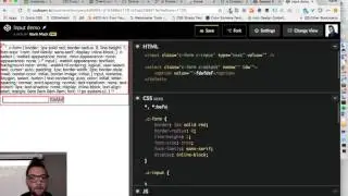Mentor Session - How to build User Interfaces: Styling Form Element