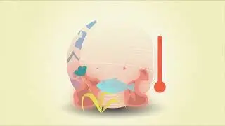 VIDEO DE DIVULGACIÓN DEL PROYECTO CAPTA