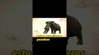 Los 5 animales EXTINTOS m&aacute;s RAROS del mundo: Platybelodon