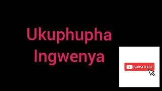Ukuphupha ingwenya