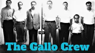 The Gallo Crew
