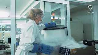 Tratamento para anemia falciforme - Envio de células-tronco do cordão umbilical para transplante