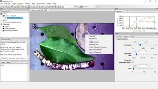 Tutorial – Benchtop Hyperspectral System: scanning and saving data