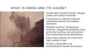 NY city smog of 1966 - Mahima Shrestha