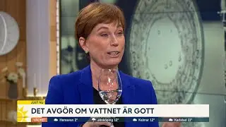 Här finns Sveriges godaste vatten: ”Det stack ut på en gång” - Nyhetsmorgon (TV4)