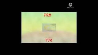 TSR IRB JOINING LETER  OUT 2022