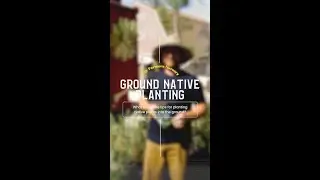 Curious about planting natives but worried about San Diego's unique soil challenges?