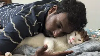 Krish and Sachin Sleeping Together #love #shortvideo #trending #cat #krish #pets 
