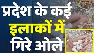 Rajasthan Weather News : प्रदेश में मौसम ने ली करवट! कई जिलों में बारिश, बढ़ गई ठंड! | Weather Alert