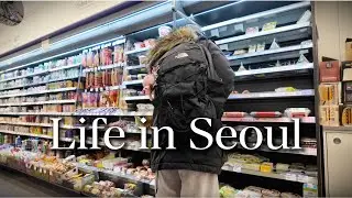 Life in Korea | PLANNING TRIP TO AMERICA 🇺🇸🦅 , snow duckies, personal training, rambling