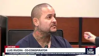Luis Rivera Corrects Donna's Attorney When She Calls Him 