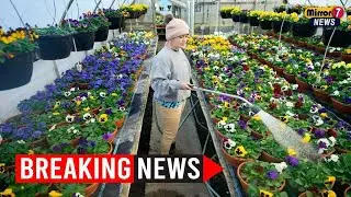 First Day of Spring 2025 &ndash; A Time of Balance and Renewal