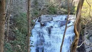 Appalachian Trail Episode 42: Exploring Pond Mountain Wilderness