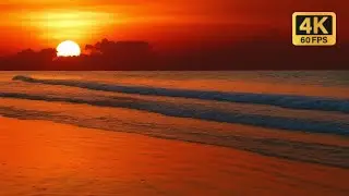 Sunset Ocean ASMR 4K | Relaxing Beach Waves for Deep Sleep, Night Relaxation & Calm