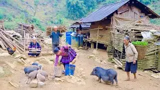 Remote Mountain Life | Elderly Still Laboring in Farming and Livestock for Daily Survival