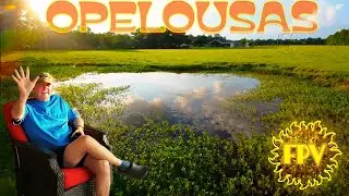 ☀️The Sun Sets in Opelousas // Louisiana Family BBQ 🦞// Cinematic FPV