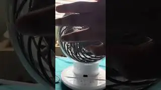 Woo zoo 8&rdquo; globe Fan