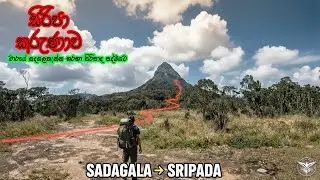 වාරයේ සිරිපා කරුණාව | Sri Padaya | Sadagalathenna Sri Padaya Trail #adamspeak #sripadaya