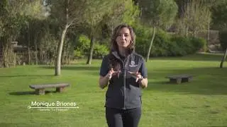 Robot cortacésped Automower