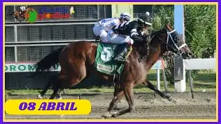 ✅RESUMEN 📽 martes 08 ABRIL 2025, carreras caballos🏇 en el V Centenario💰