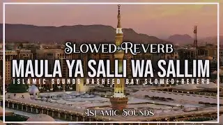 Maula Ya Salli Wa Sallim - Abu Ubayda (Slowed + Reverb) - Beautiful & Relaxing || Islamic Sounds