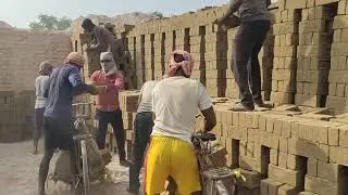 Tiger bricks loading unloading 
